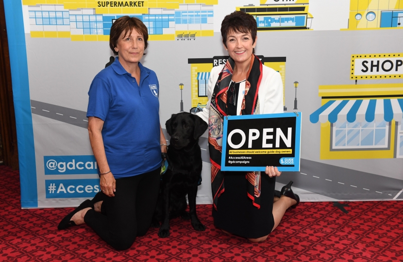 Jo Churchill MP guide dogs 2019